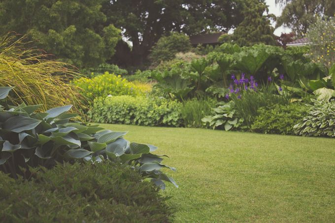 Lawn Care Spring Branch Advocates for Property Care: Combatting Weed Growth and Preserving Curb Appeal